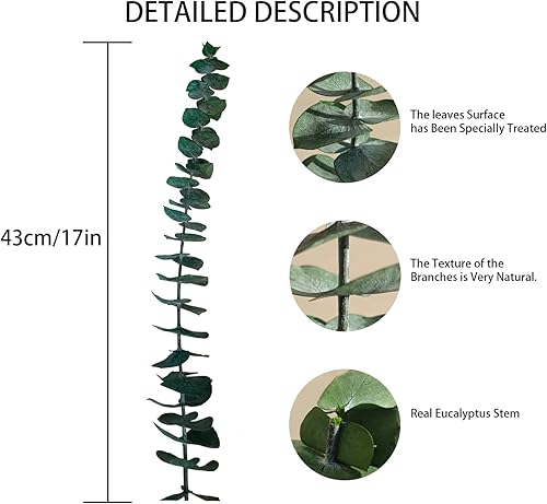 Miniatura 2 de WEDDLE 20 tallos de eucalipto secos, ramas de eucalipto reales de 17 pulgadas, flores inmortales de eucalipto 100% naturales, arreglo floral de