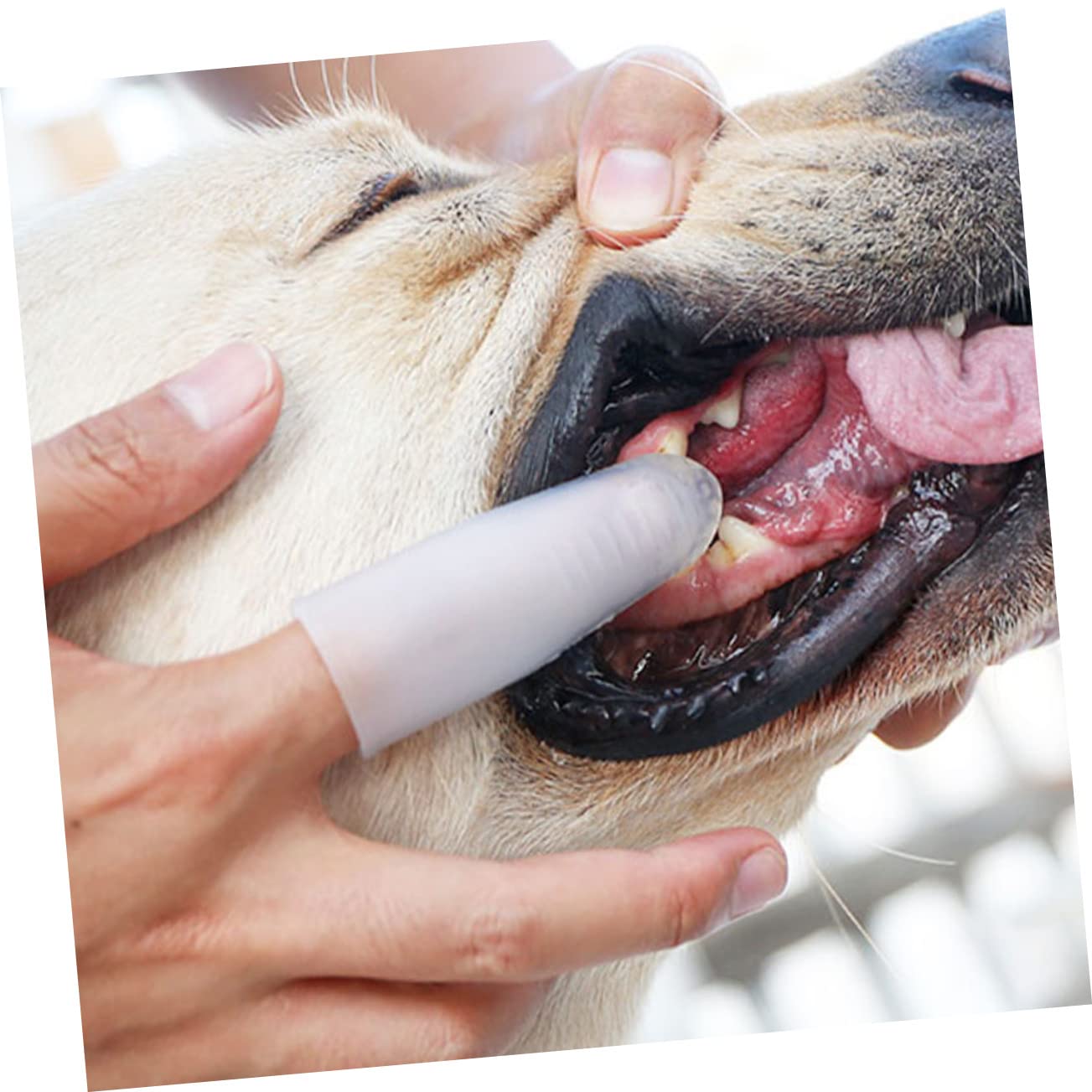 Kisangel 4pièces Brosse à Dents Silicone Pour Chiens Outil De Nettoyage Bucal Pour Animaux Conception Ergonomique Et Confortable Réduit La Mauvaise Haleine Et Facilite Hygiène