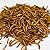 5kg Wild Bird Dried Mealworms
