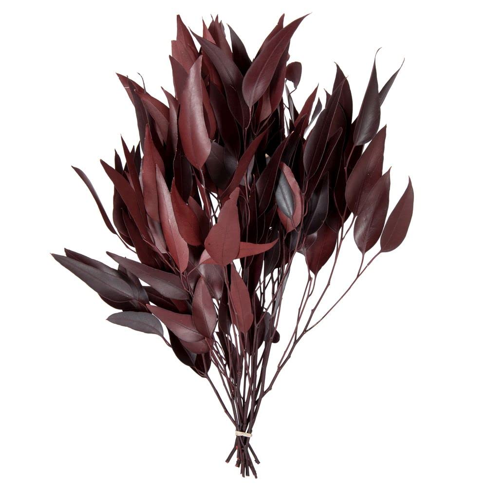 Vickerman Natural Botanicals 18" Eucalyptus Willow, Red Preserved Foliage Dried Floral Decor, 5-6 oz Per Pack