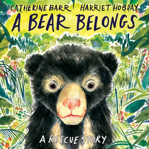 A Bear Belongs by Catherine Barr, Harriet Hobday - illustrator episode artwork