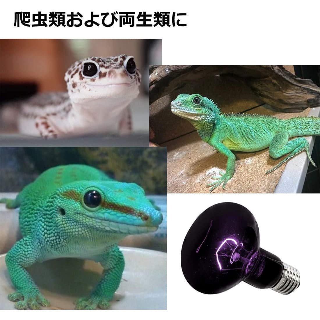 Amazon | 爬虫類ライト ナイトライト 夜行性爬虫類用 両生類照明 夜用