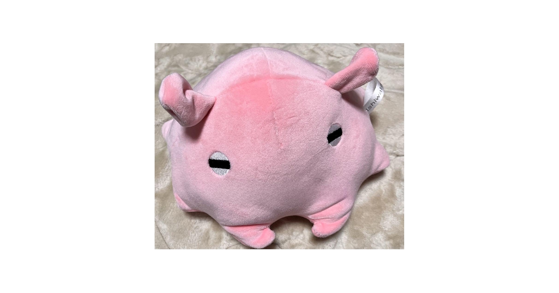 Amazon.co.jp: 新江ノ島水族館 えのすい メンダコ めんだこ