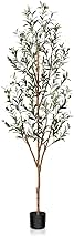 Kazeila Artificial Olive Tree 6FT Tall Faux Silk Plant for Home Office Decor Indoor Fake Potted Tree with Wood Branches and Fruits