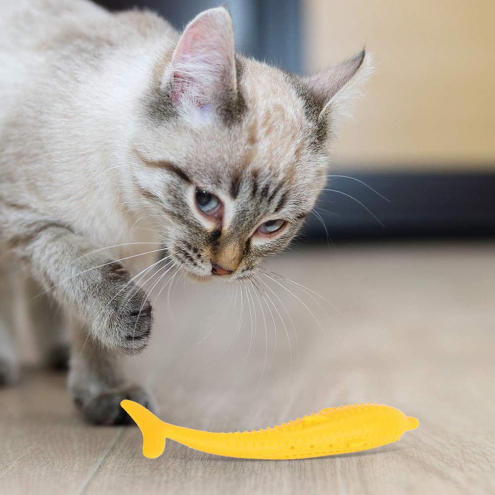 3 Pack Kat Tandenborstel Speelgoed Kat Kauwspeelgoed met Kattenkruid