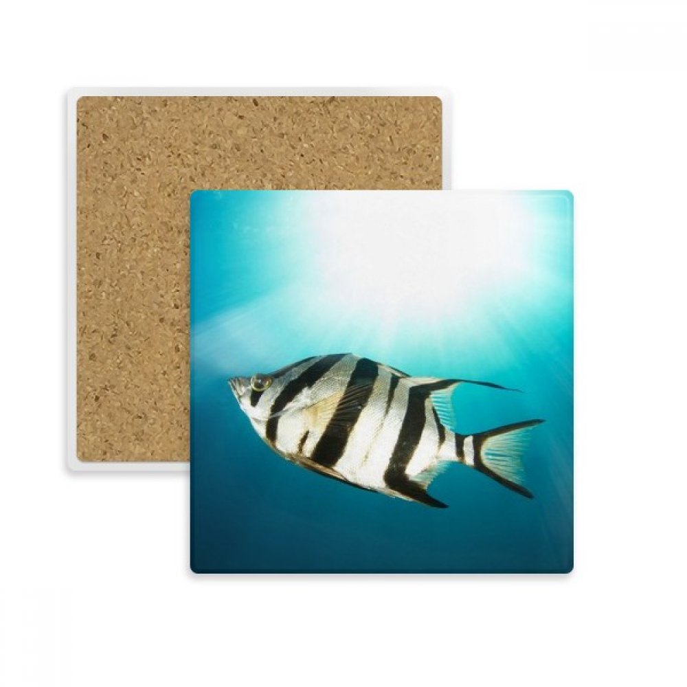 Coaster poissons mer tropicale en pierre pour sublimer vos tables d'été