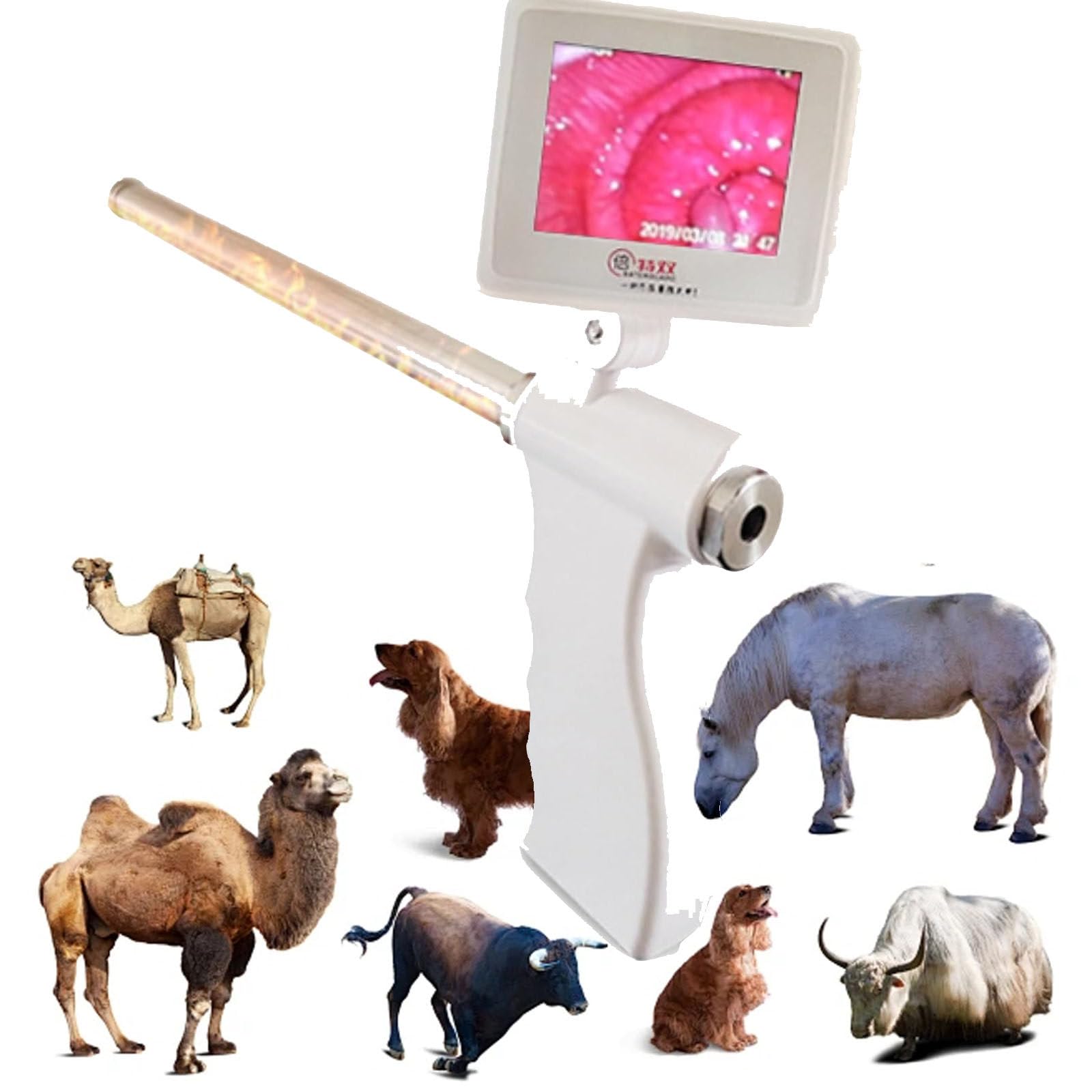 Artificial Insemination Kit for Sheep and Goat - Complete Veterinary Breeding Kit with 360° Rotatable Screen AI Gun and Camera