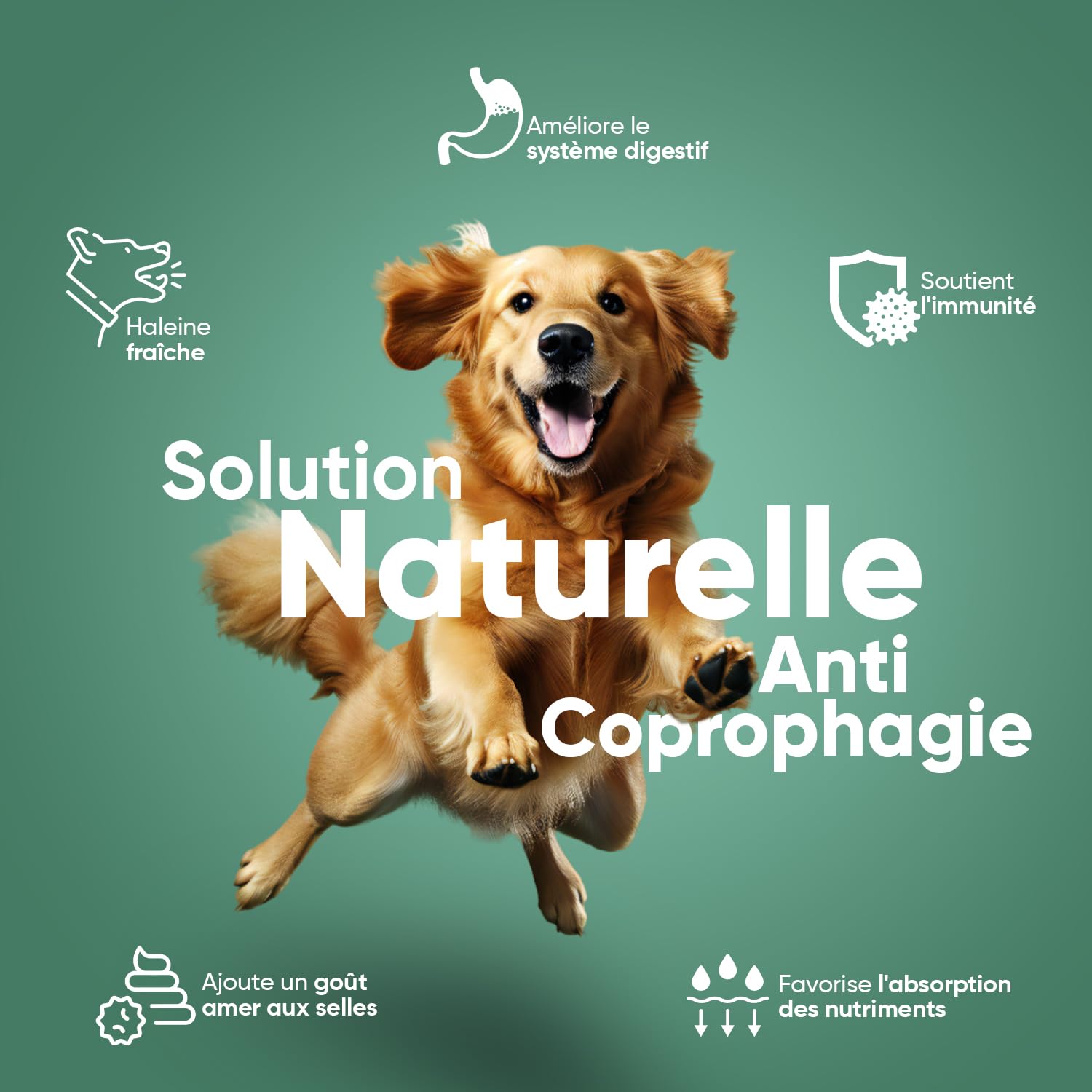 Anti Coprophagie Chien - 120 Comprimés Goût Poulet - Empêche Ingestion de Crottes, Confort Digestif, Haleine Fraîche - Enrichi en Yucca, Camomille, Persil, Probiotiques Chien & Enzymes Digestives