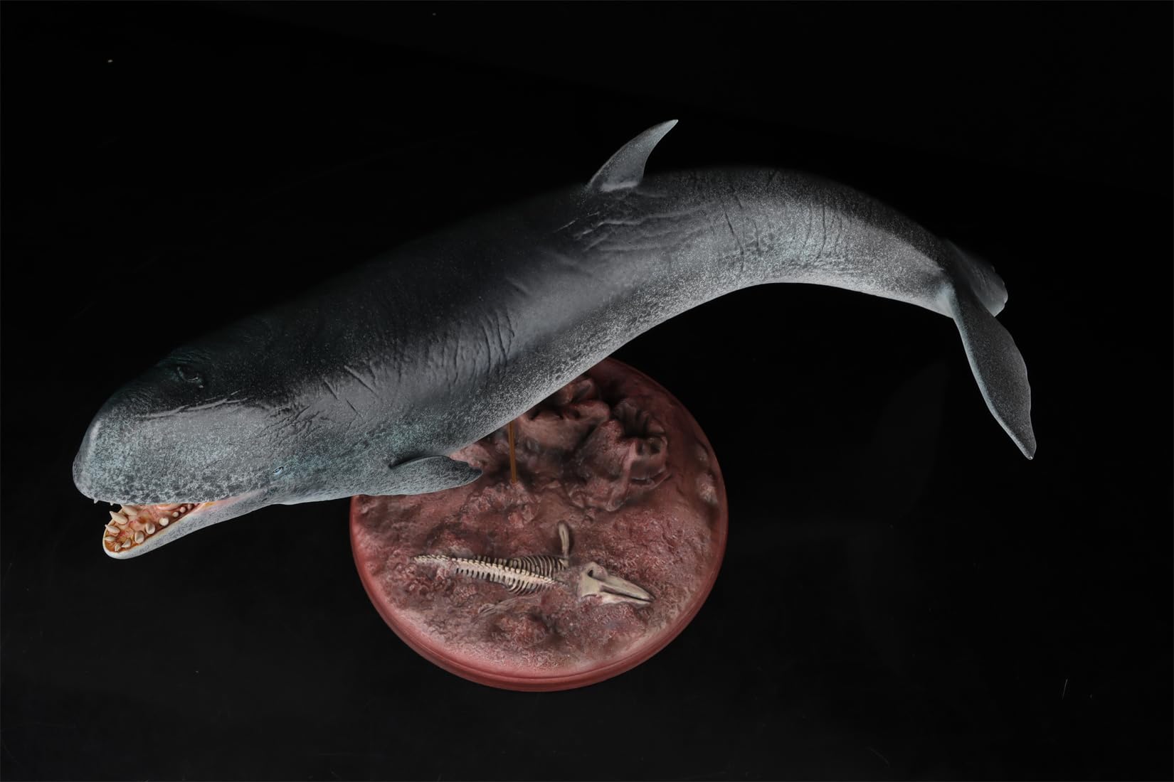 Amazon.co.jp: 1/35 サイズ リヴィアタン・メルビレイ クジラ類