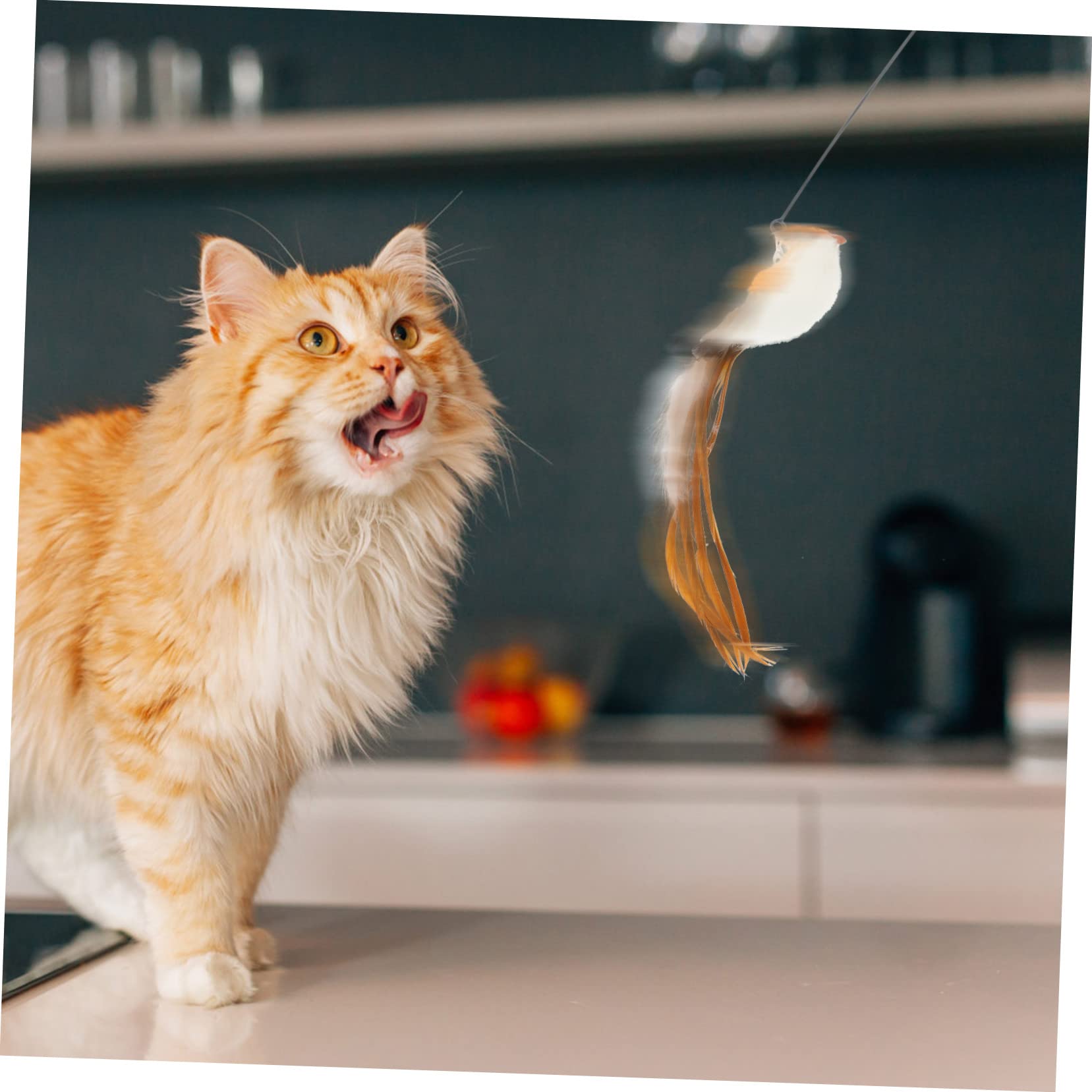 Kisangel 5sätze Katzenspielzeug Federn Interaktive Spielzeuge Für Katzen Teiliges Für Indoor-Spiel Inklusive Ersatzfedern Für Spielstab Leicht Und Langlebig Für Katzenaktivität