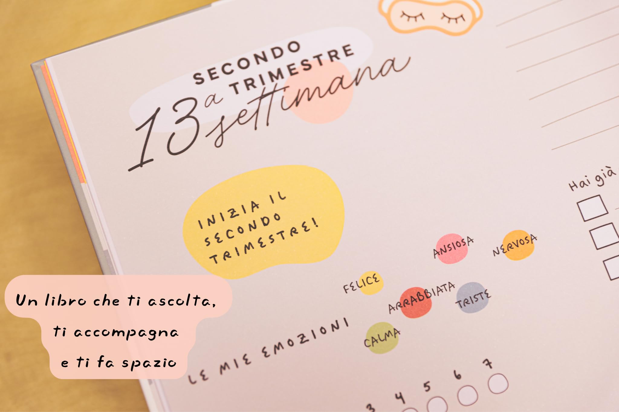 Diario della Gravidanza per Mamma - Album dei Ricordi per Future Mamme - Libro Gravidanza da Compilare con Spazio Foto e Pensieri Settimanalmente - 2