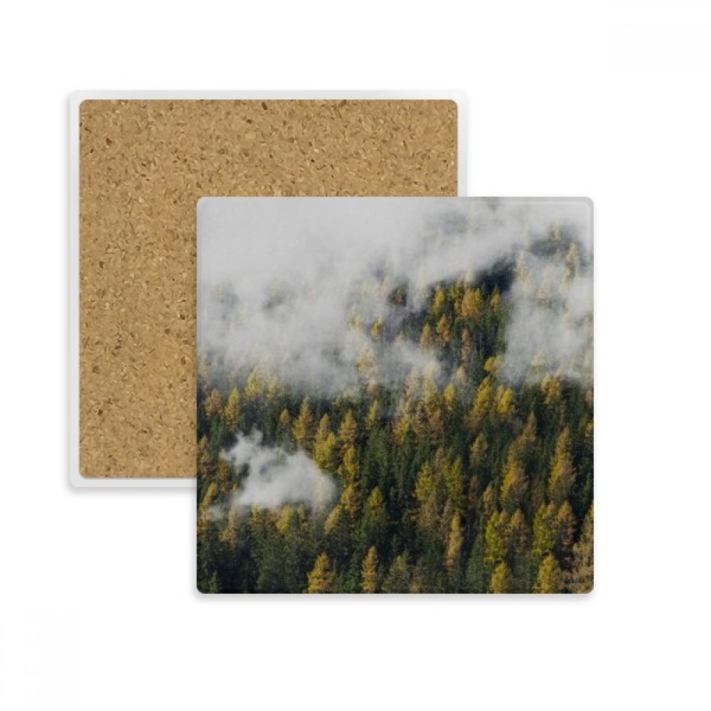 Dessous de verre carré en pierre absorbante forêt brumeuse multicolore