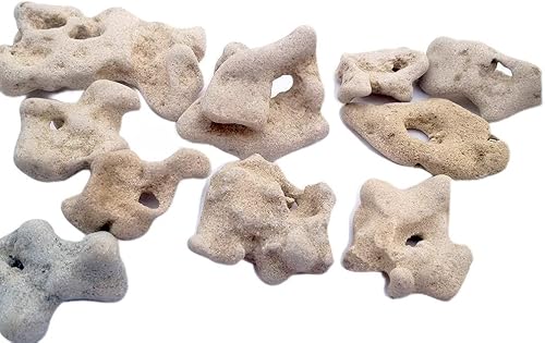 Galilee Gifts + (1) Piedra de Hag natural  del Mediterráneo  Cada uno único con agujero natural, piedra espiritual curativa, colgante, sagrado,