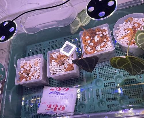 Miniatura 4 de Enmienda de suelo hortícola de perlita orgánica 30QT para plantas y drenaje mejorado para crecimiento mejorado (0.197-0.315 in)