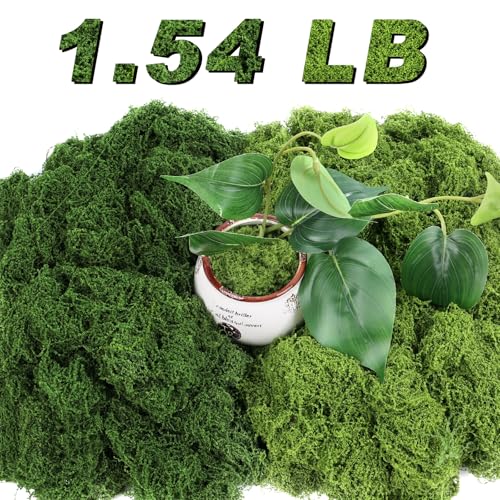 Jollidecor 1.54 LB Fake Moss for Crafts Artificial Decorative Light Green and Dark Green Faux Moss DIY Fairy Garden Decor for Indoor Decor