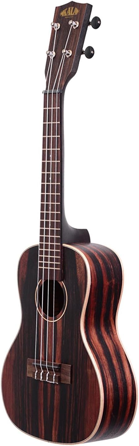 Kala KA-EBY-C Striped Ebony Concert Ukulele Bundle with Hard Case, Tuner, Austin Bazaar Instructional DVD, and Polishing Cloth