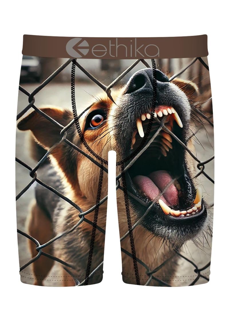 Ethika Mens Staple Boxer Brief Tall Tale