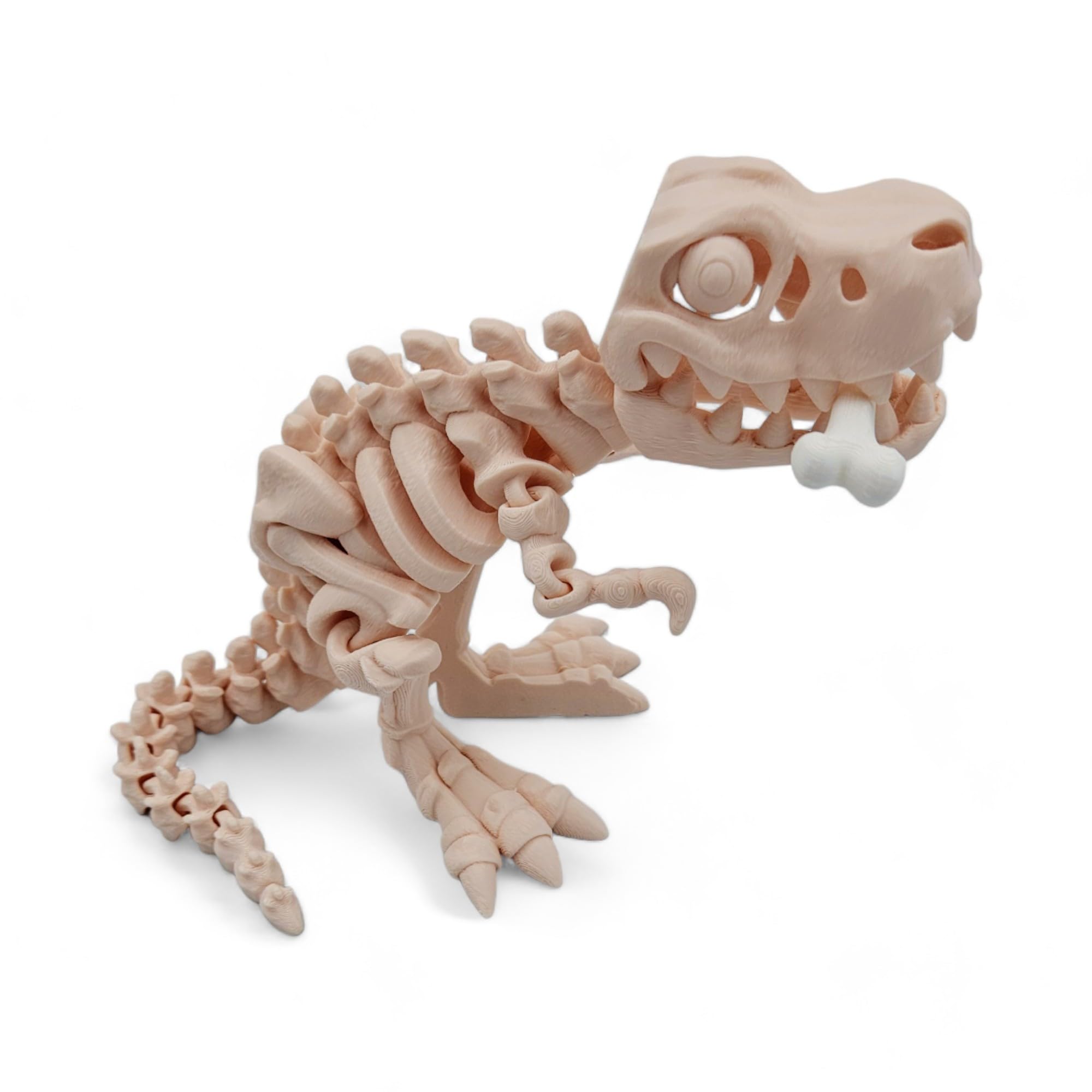 Amazon.com: ZZ LIFE T-Rex Fidget Figurine - Flexible Rexi with