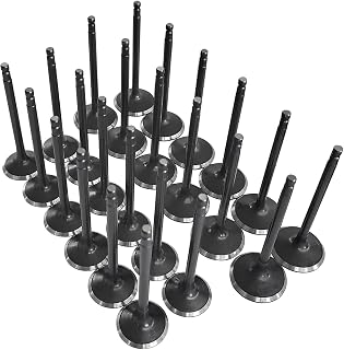 Zieichy 12 Intake + 12 Exhaust Valves for Infiniti FX35 G35 M35, Nissan Pathfinder Frontier Xterra 4.0L 3.5L - Replaces 13201-4W001 13202-8J10A