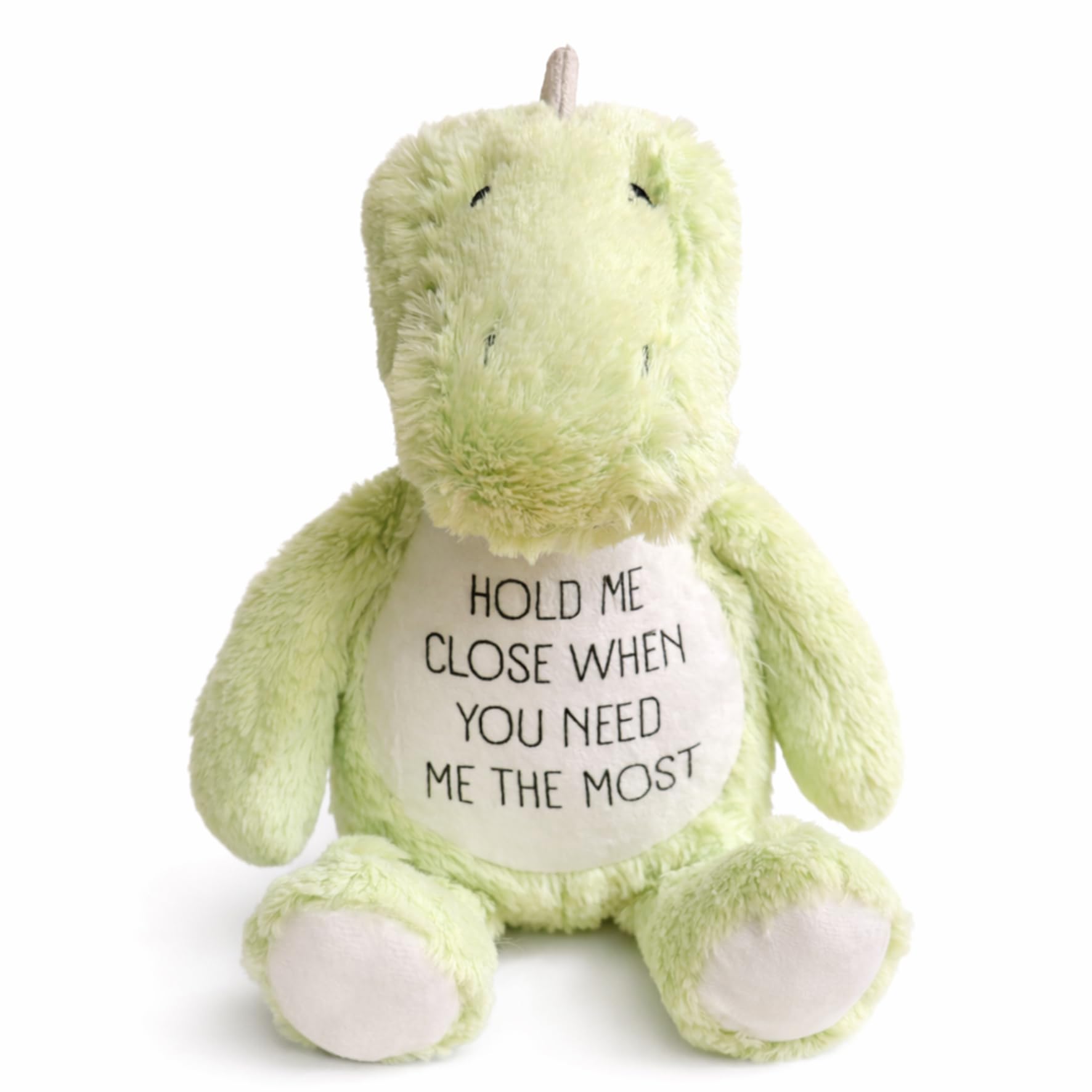 Silly Dog Designs - Personalised Worry Dinosaur Soft Toy – Comfort Plush with Reassuring Message – Emotional Support Gift for Children & Loved Ones - Valentines, Birthdays and Anniversaries — image 1