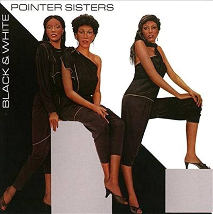 ThePointer Sisters 2枚組CD ポインターシスターズ ThePointer Sisters 2枚組CD ポインターシスターズ