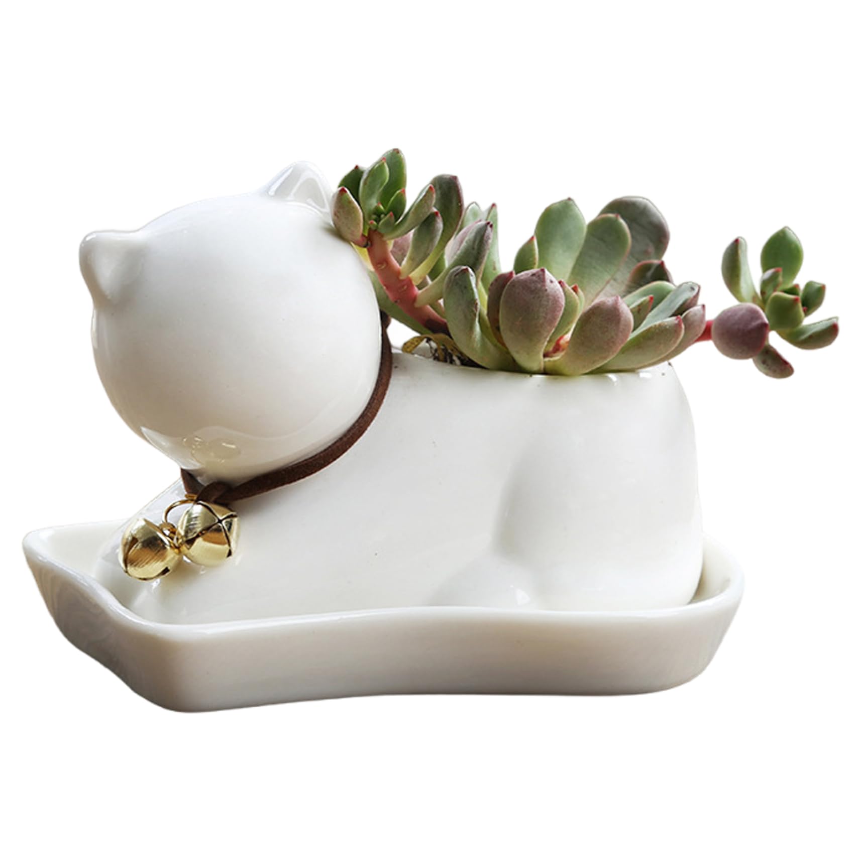 Wedhapy Succulent Planter Flower Pot with Tray, Mini Animal Ceramic Succulent Pot for Plants, Succulents, Flowers, Cactus, Decorative Planter for Office