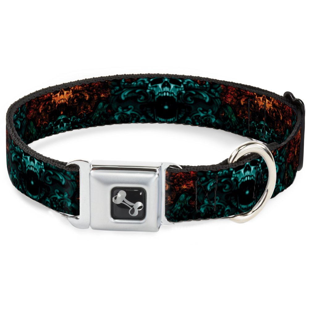 Collier chien Buckle Down solide avec boucle de ceinture de sécurité