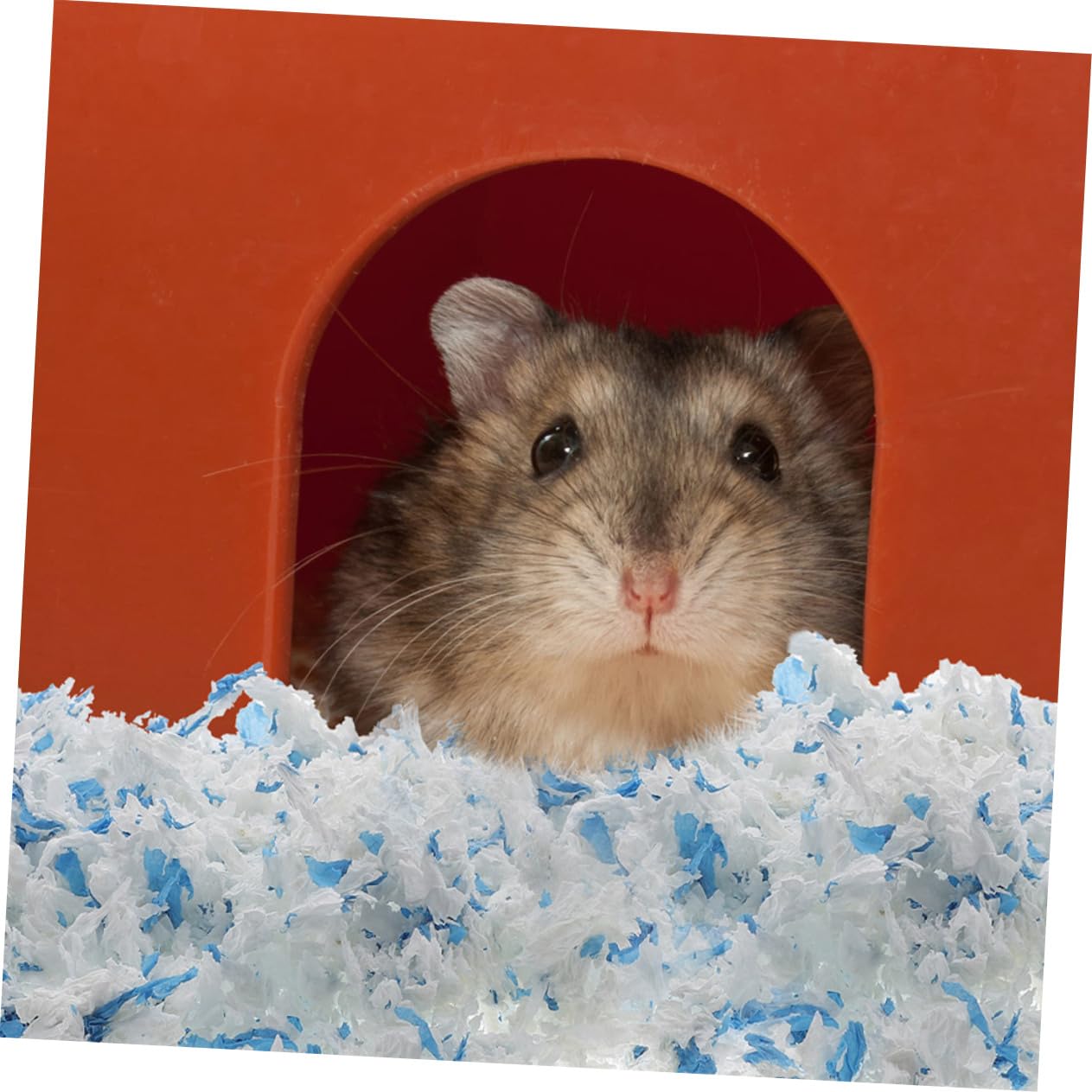 BESPORTBLE Lettiera di Carta a Bassa Polvere per Piccoli Animali, 2 Borse | Carta Assorbente, per Gabbie di Gerbilli e Cincillà, Confezione Doppia