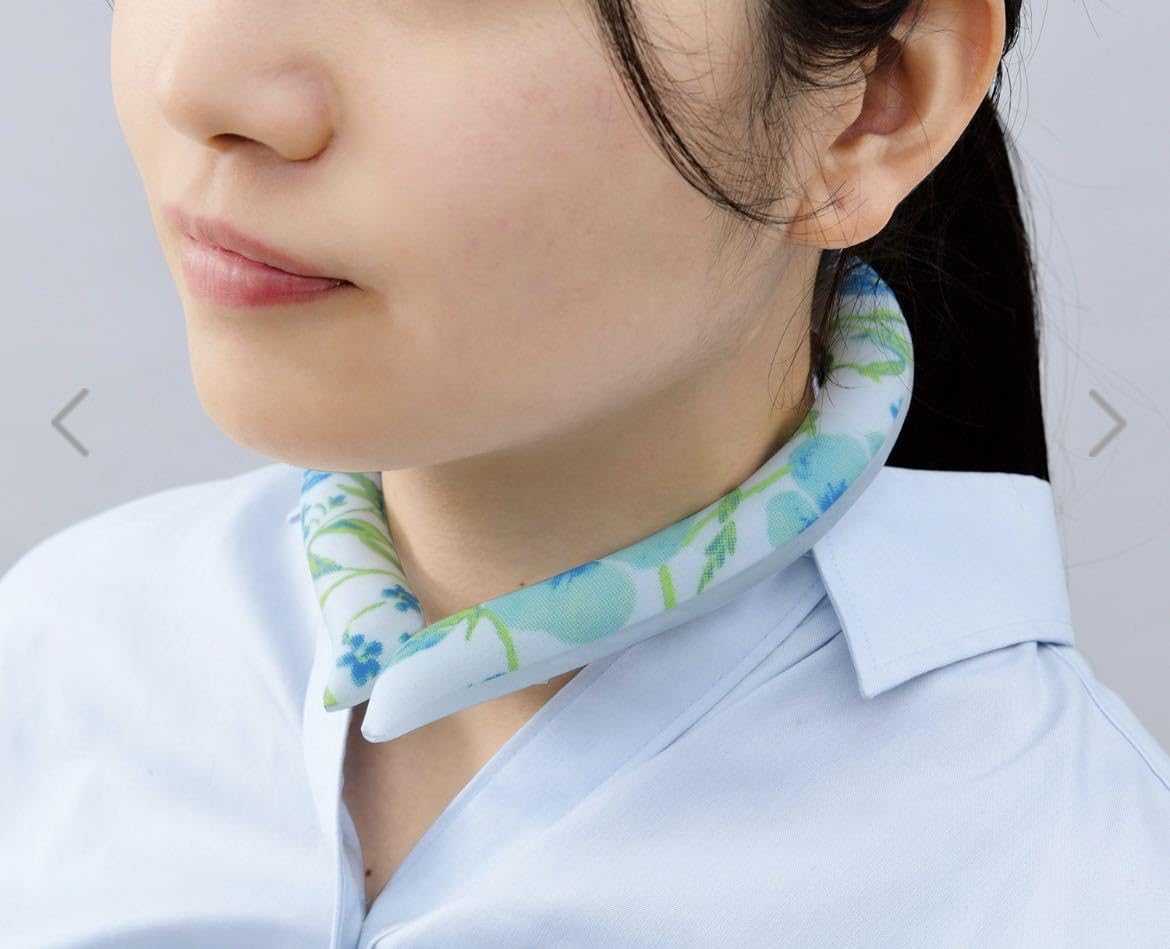 Amazon.co.jp: スマートエコアイス 専用保冷ポーチ付き 日比谷