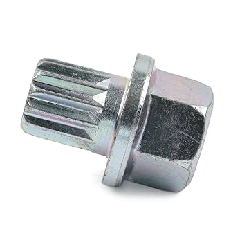61jMOvRv8cL._UF350,350_QL80_.jpg