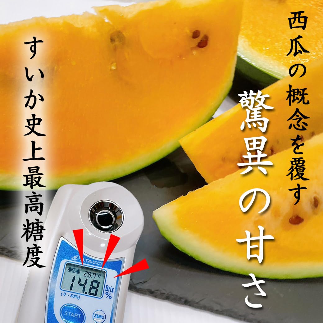 Amazon.co.jp: TVで紹介された 金色羅王 スイカ 鳥取県 または 長野県