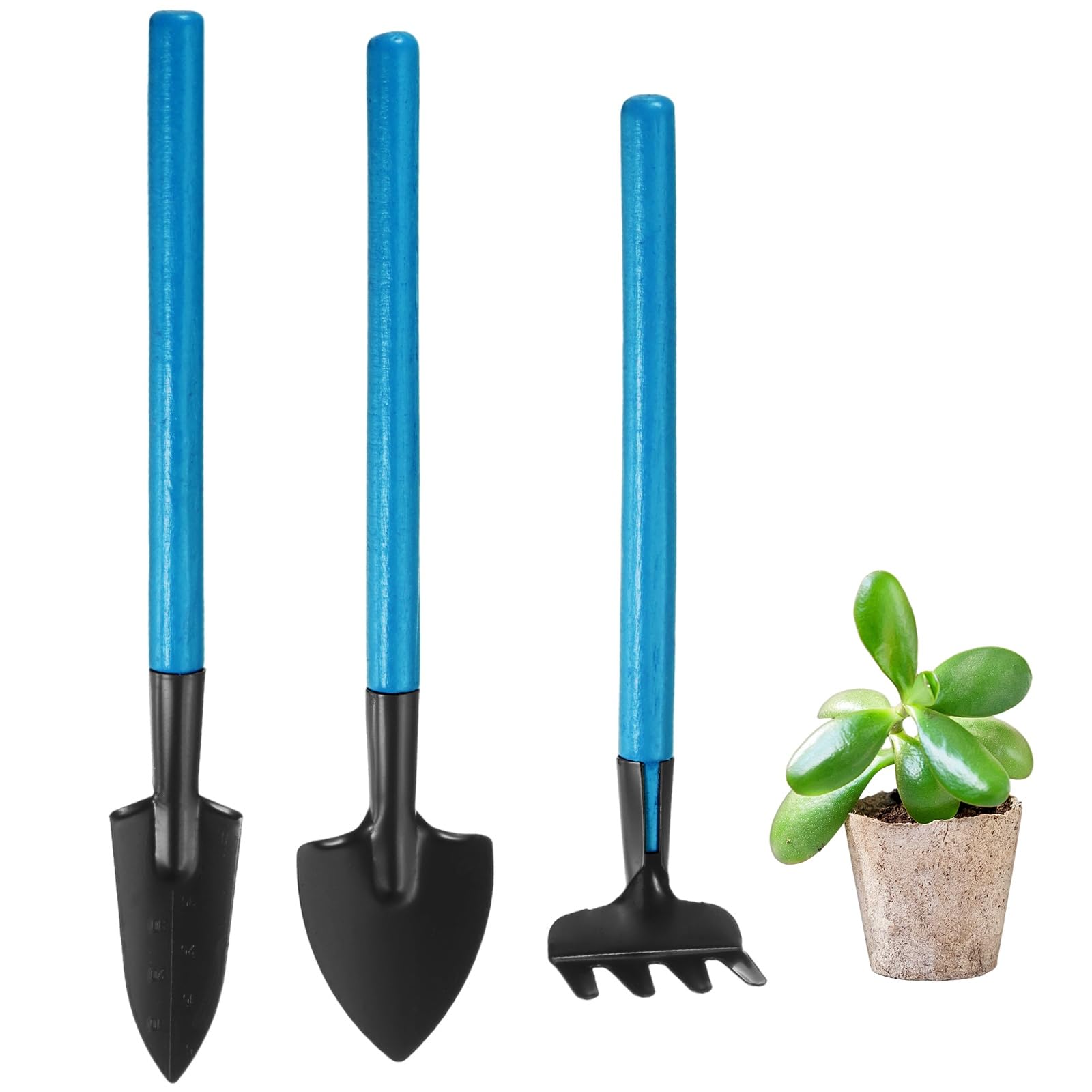 M METERXITY 1-Set Mini Gardening Tools, Stainless Steel Miniature Gardening Rake, Trowel, and Shovel for Seedlings/Bonsai/Succulents/Herbs/Terrariums and Planting, Mini Shovel [Blue]
