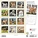 Goldendoodles 2020 12 x 12 Inch Monthly Square Wall Calendar, Animals Mixed Dog Breeds