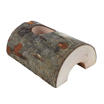 Amazon | えさ皿 昆虫のかくれ木 のぼり木 クワガタ 隠れ家 飼育