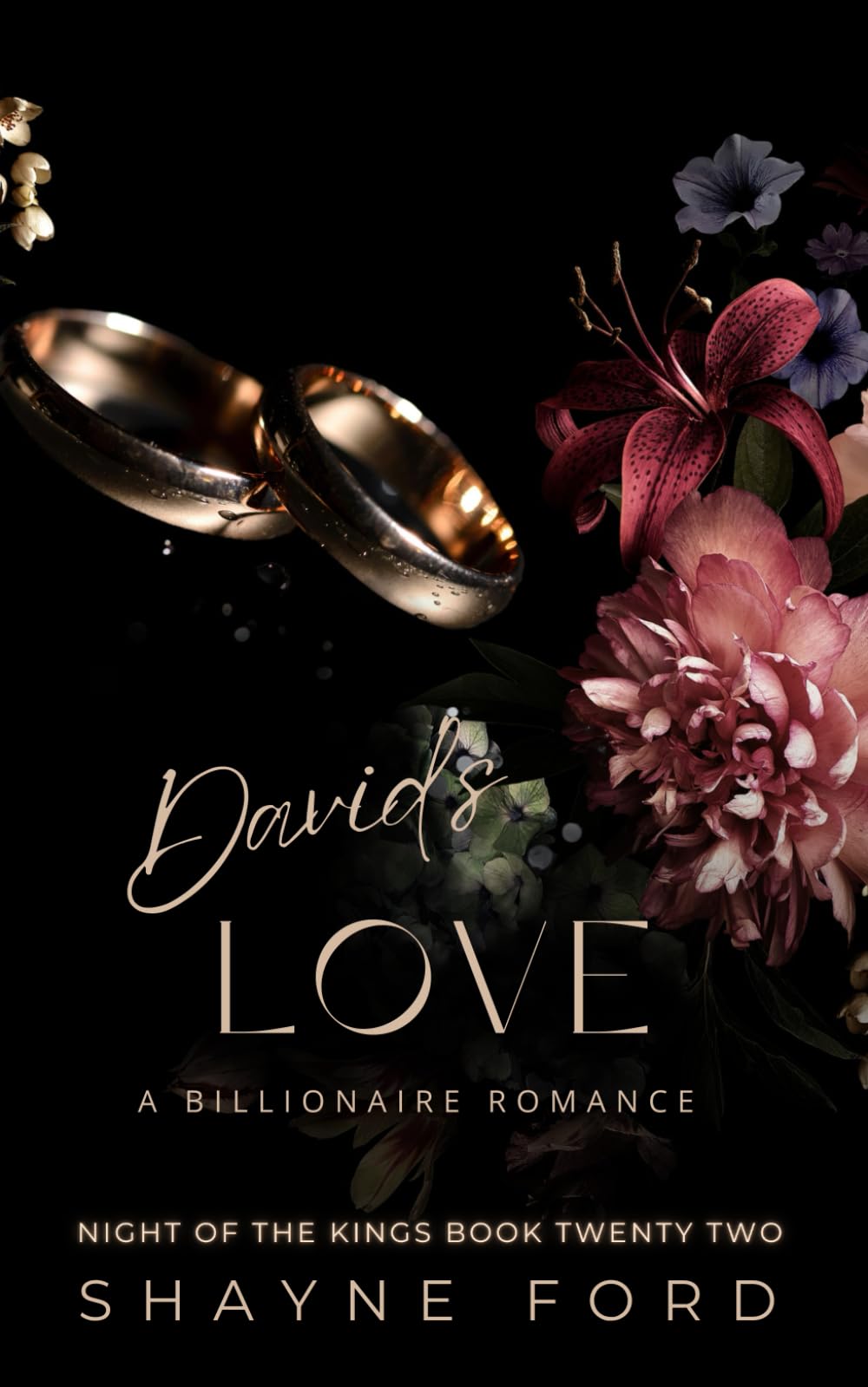 DAVID'S LOVE: A Billionaire Romance (NIGHT OF THE KINGS SERIES)