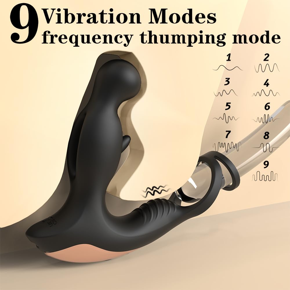 Stimulateur prostatique à double anneau — 9 modes et 5 modes de — jouet anal rechargeable en silicone, étanche, avec anneau