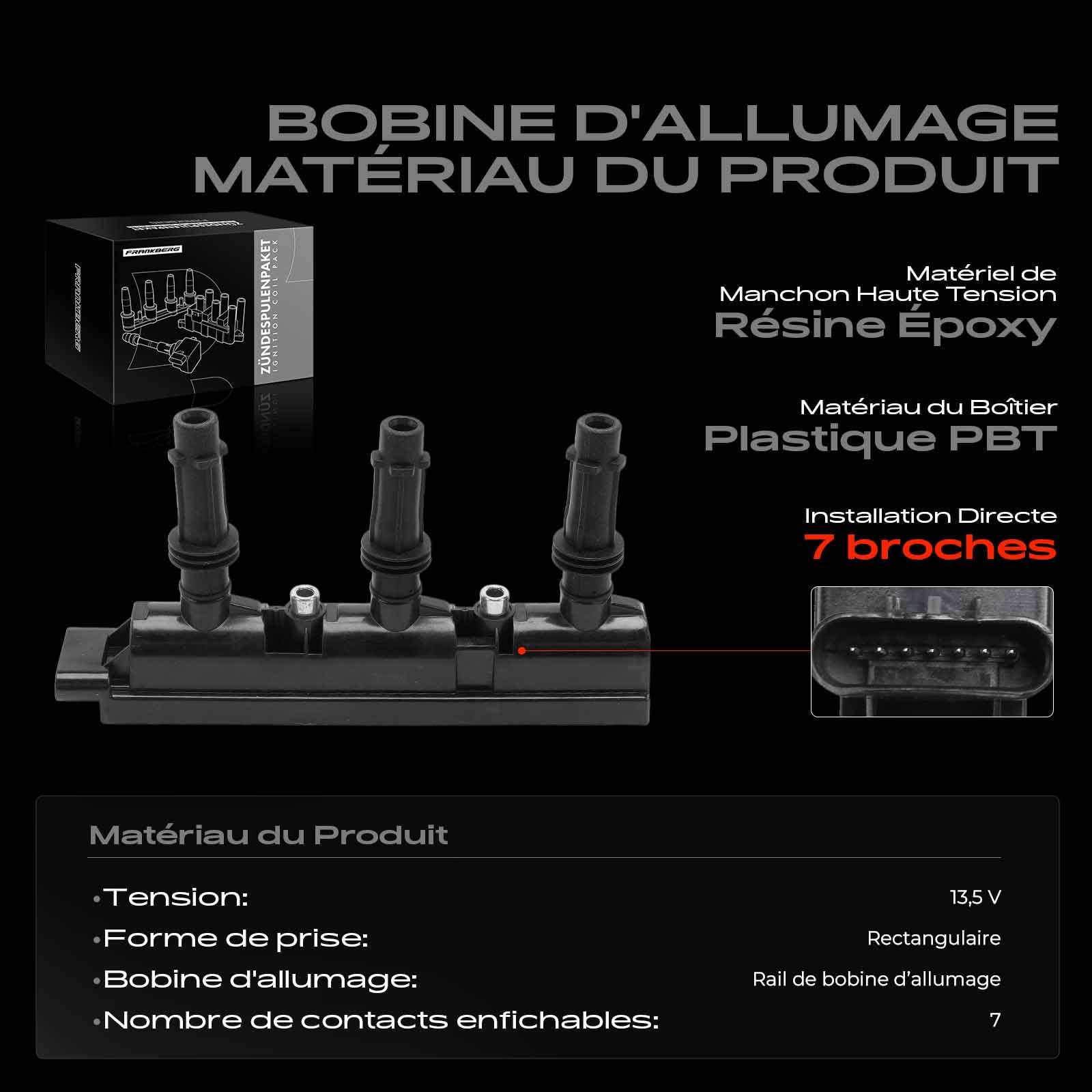 Frankberg Module d'allumage à bobine 55573734