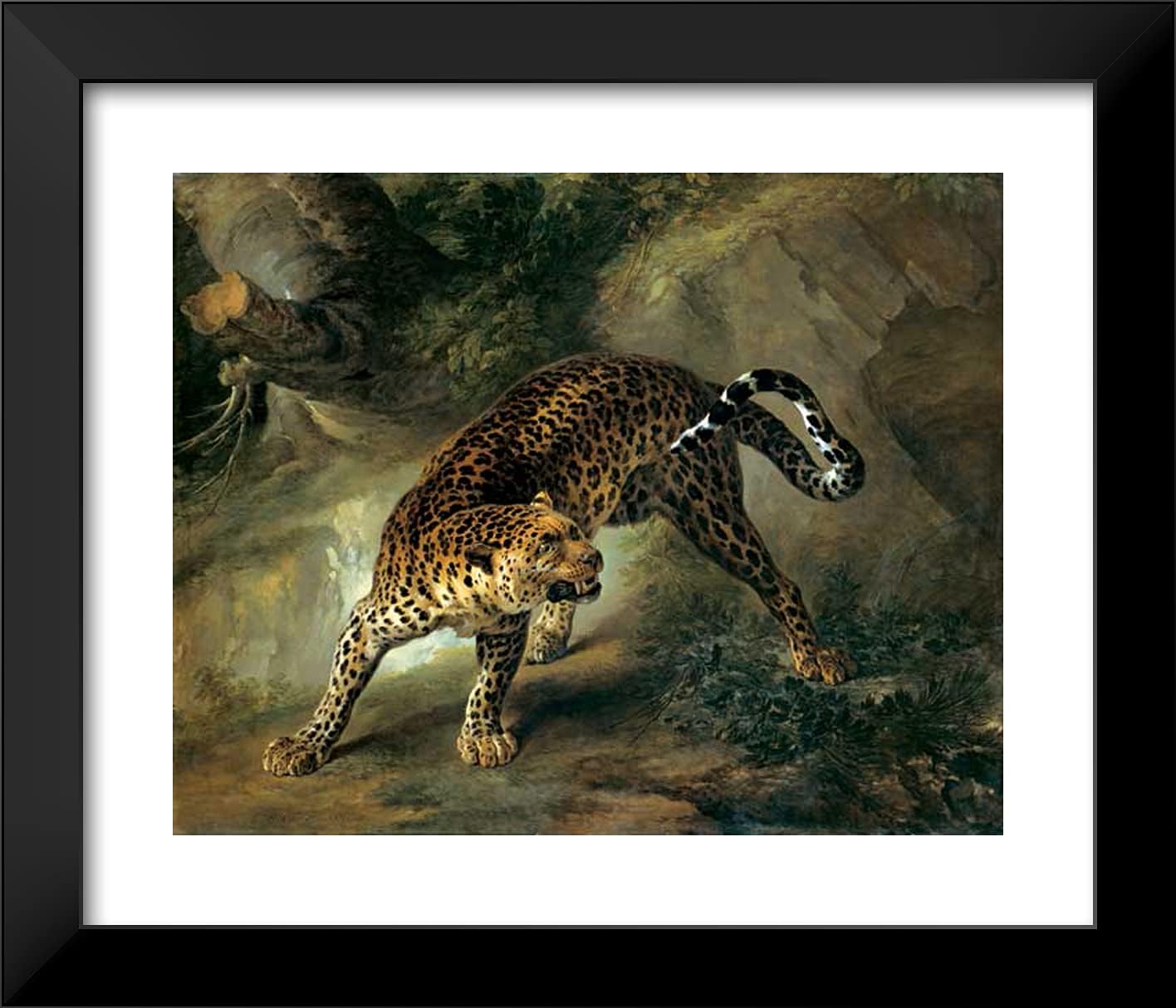 ArtDirect Oudry, Jean 23x20 Black Modern Framed Art Print Titled: Leopard
