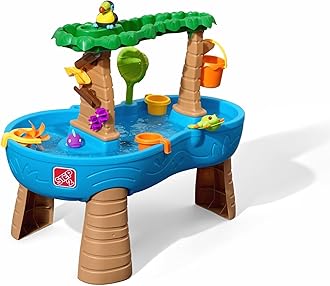 Tropical Rainforest Water Table