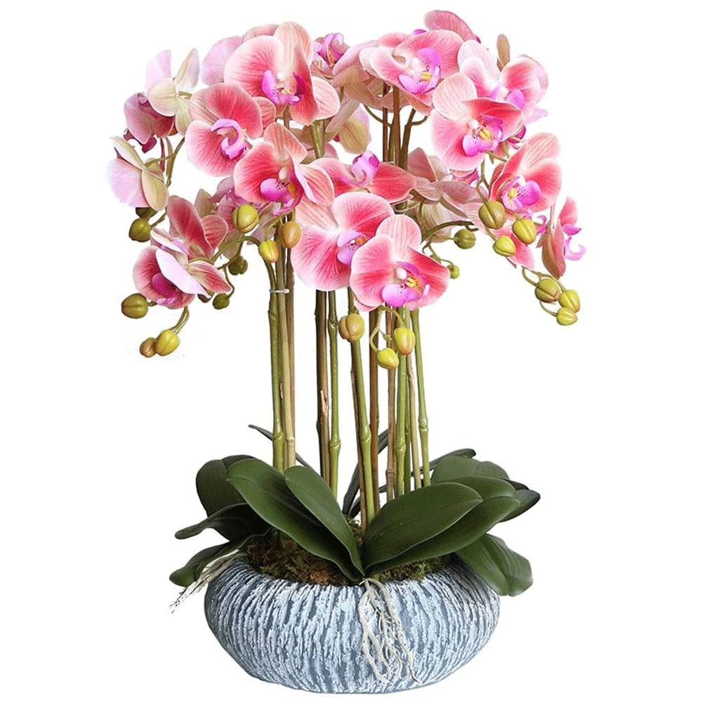 XDLEDMKIZ Orchid Artificial Flowers Artificial Phalaenopsis Flowers Realistic Faux Orchids Classic Orchids Artificial Natural Flower Artificial Flower Ornamental natural