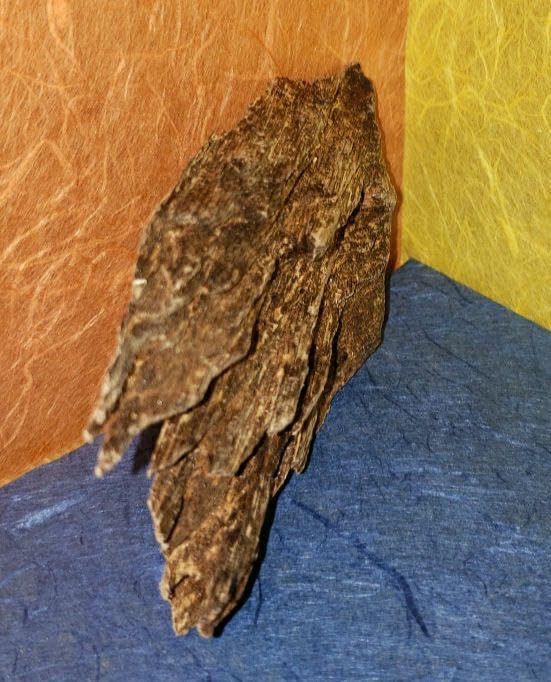 沈香伽羅六国五味聞香香木ベトナム フエ産 特上141