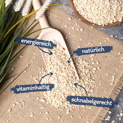 Lyra Pet® | 25 kg Erdnusskerne weiß gehackt | Ideal für Kleine Vögel & Jungtiere | Wildvogelfutter für Sommer & Winter | Fetthaltig & Nährstoffreich | Energiespender für Wildvögel | Gehackte Erdnüsse