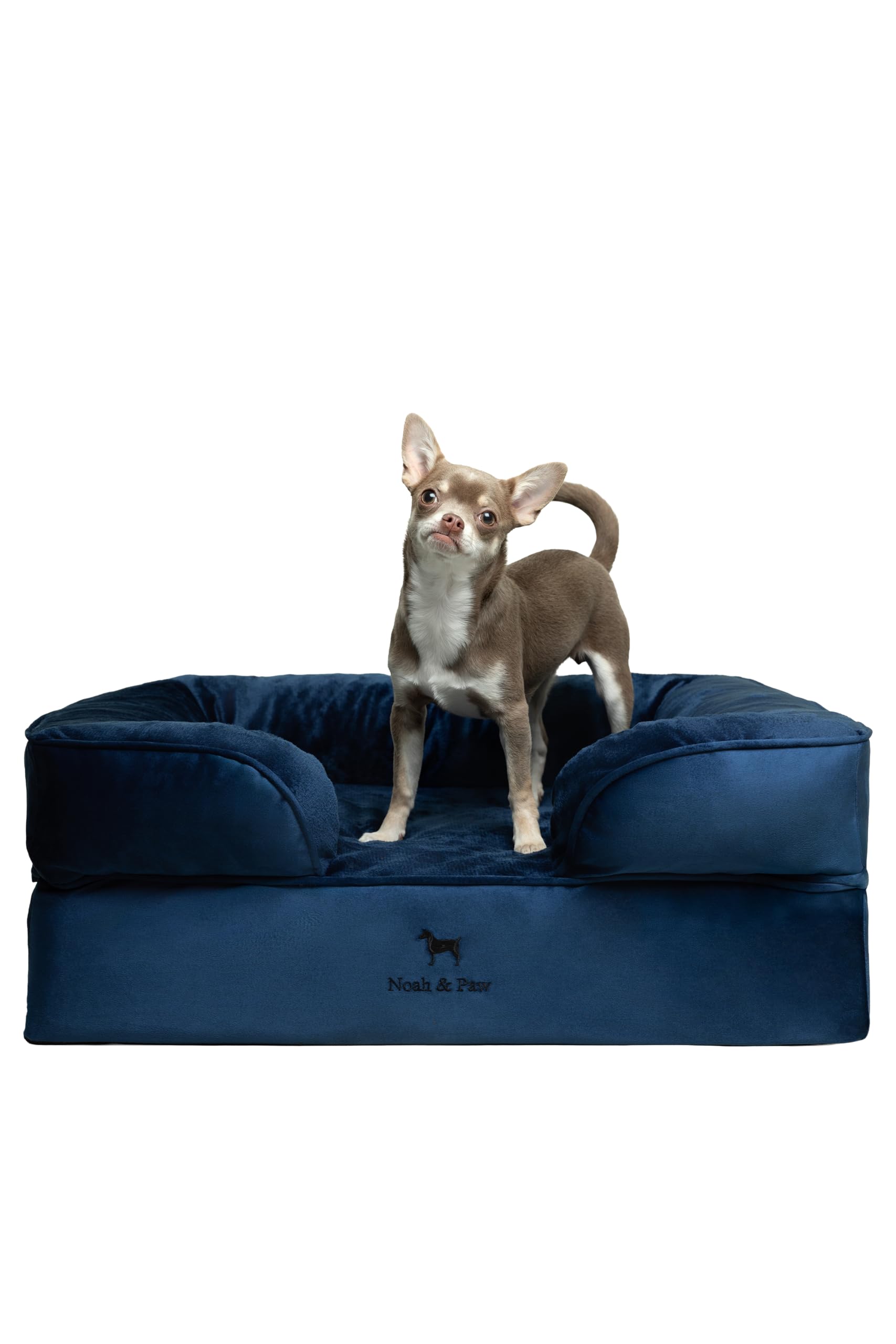 NOAH & PAW Dog Bed Velvet Sofa Collection