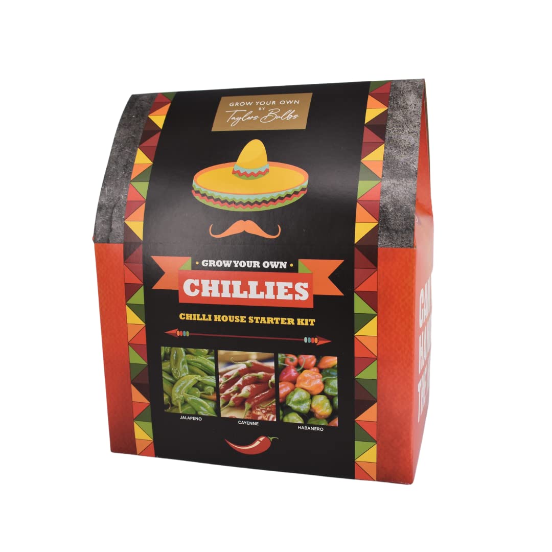 Taylors Chilli Starter Kit Amazon.co.uk Garden