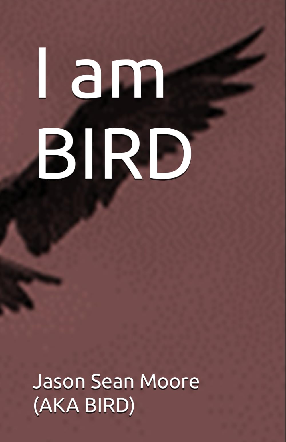 I am BIRD Paperback – June 2, 2024