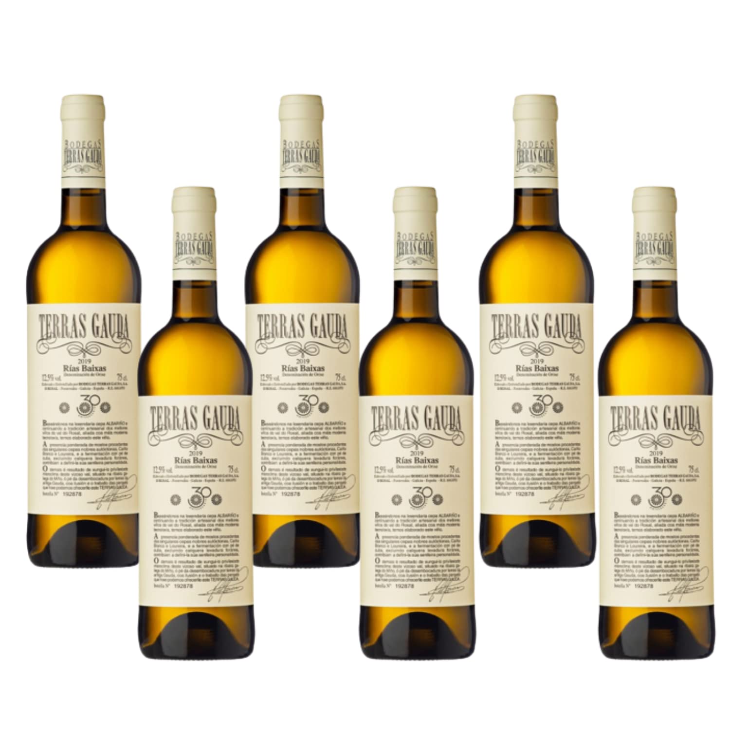 Vino Blanco Albariño Terras Gauda - 6 x Botellas de vino Albariño 75 cl - Vino Blanco Gallego - Nueva Añada Excelente 2024 - Rías Baixas - Envío 24H - Caja Reforzada - Mejor Selección ENOVINOS