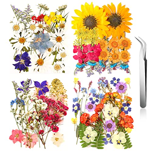 Funtery 111 piezas flores prensadas secas para manualidades miniatura 1