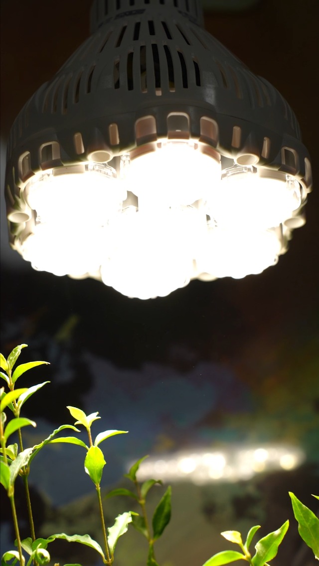 Amazon.co.jp: SANSI【最上位40W】植物育成ライト LED電球E26 高PPFD
