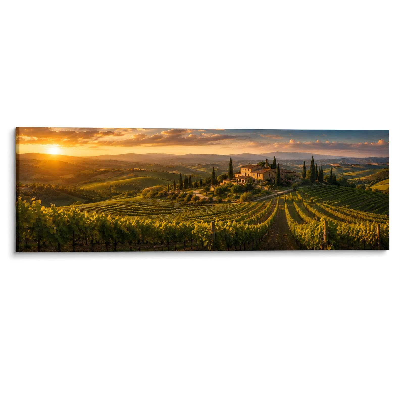 RGsixiot Cuadro en Lienzo Viñedo Toscano con Hacienda Panorámico Foto