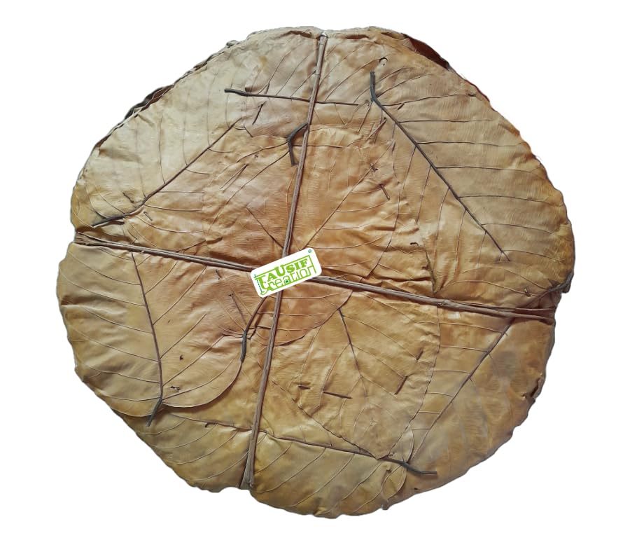 Natural Leaf Pattal Plates Biodegradable SAL Leaf Disposable Plates/Dinner Plate (1 Bundle X Pack of 50 Pc Approx)